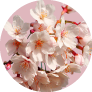 Peach Blossom